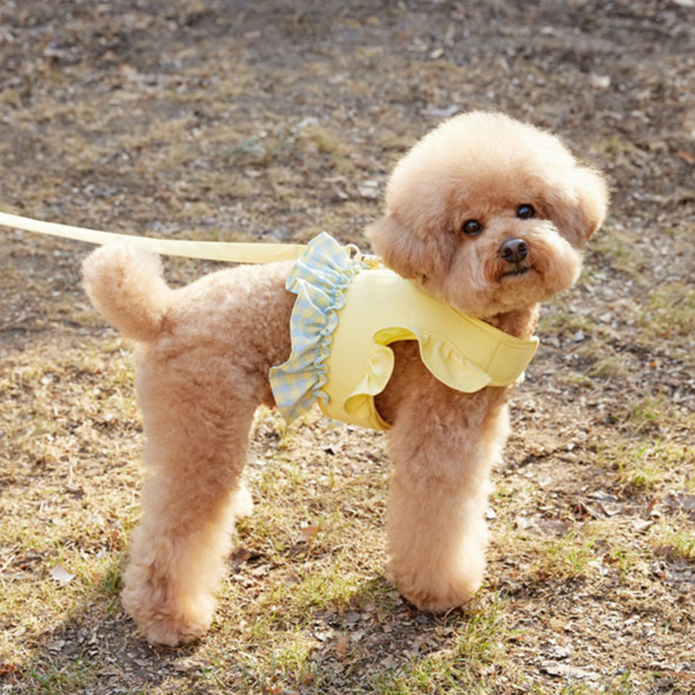 Dog Color Contrast Traction Ro – Lace Teddy Lingerie recenzja i cena