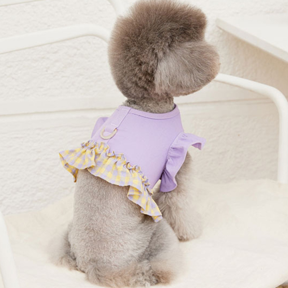 Dog Color Contrast Traction Ro – Lace Teddy Lingerie recenzja i cena