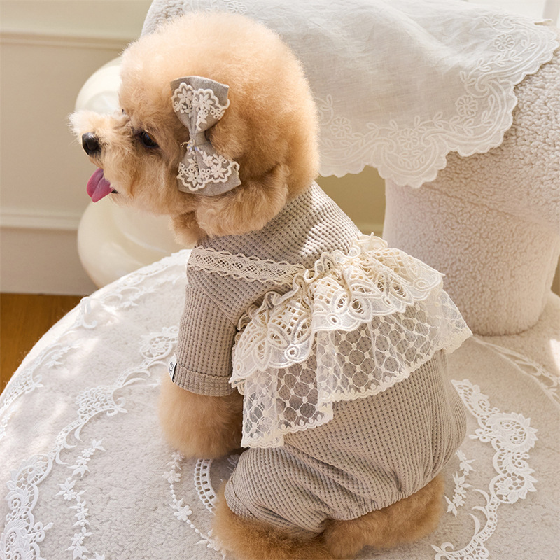 Pet Spring Jumpsuit Cute Lace  – Lace Teddy Lingerie recenzja i cena