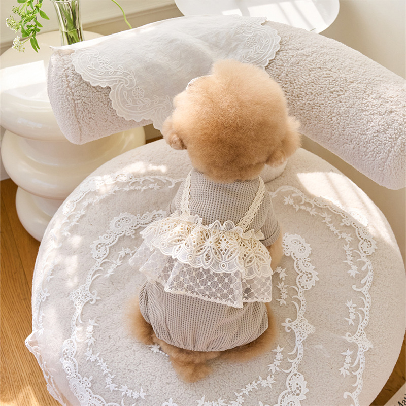 Pet Spring Jumpsuit Cute Lace  – Lace Teddy Lingerie recenzja i cena