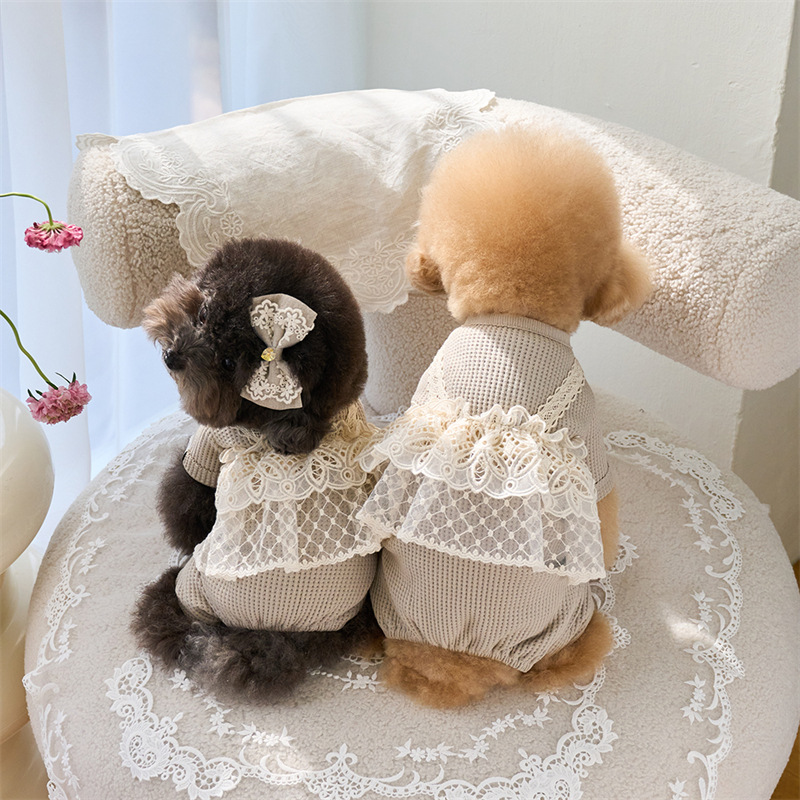 Pet Spring Jumpsuit Cute Lace  – Lace Teddy Lingerie recenzja i cena
