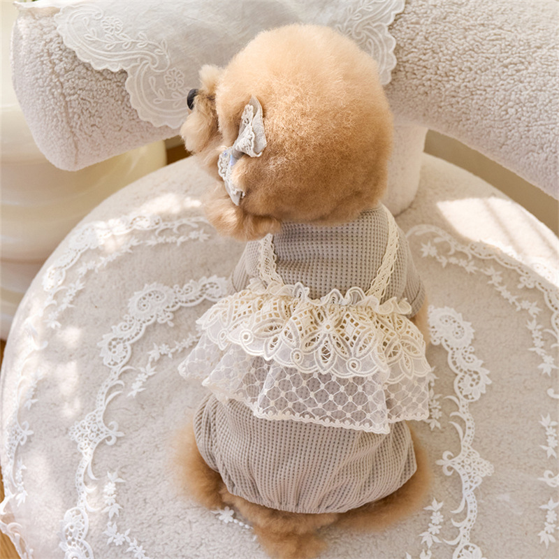 Pet Spring Jumpsuit Cute Lace  – Lace Teddy Lingerie recenzja i cena